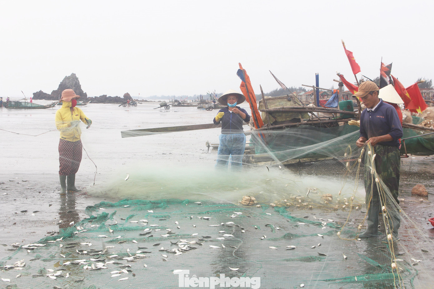 Chuyến ra khơi đầu năm, bà con ngư dân còn đánh bắt được nhiều cá trích, khởi đầu cho một năm mới với nhiều may mắn. Chuyến ra khơi đầu năm, bà con ngư dân còn đánh bắt được nhiều cá trích, khởi đầu cho một năm mới với nhiều may mắn.