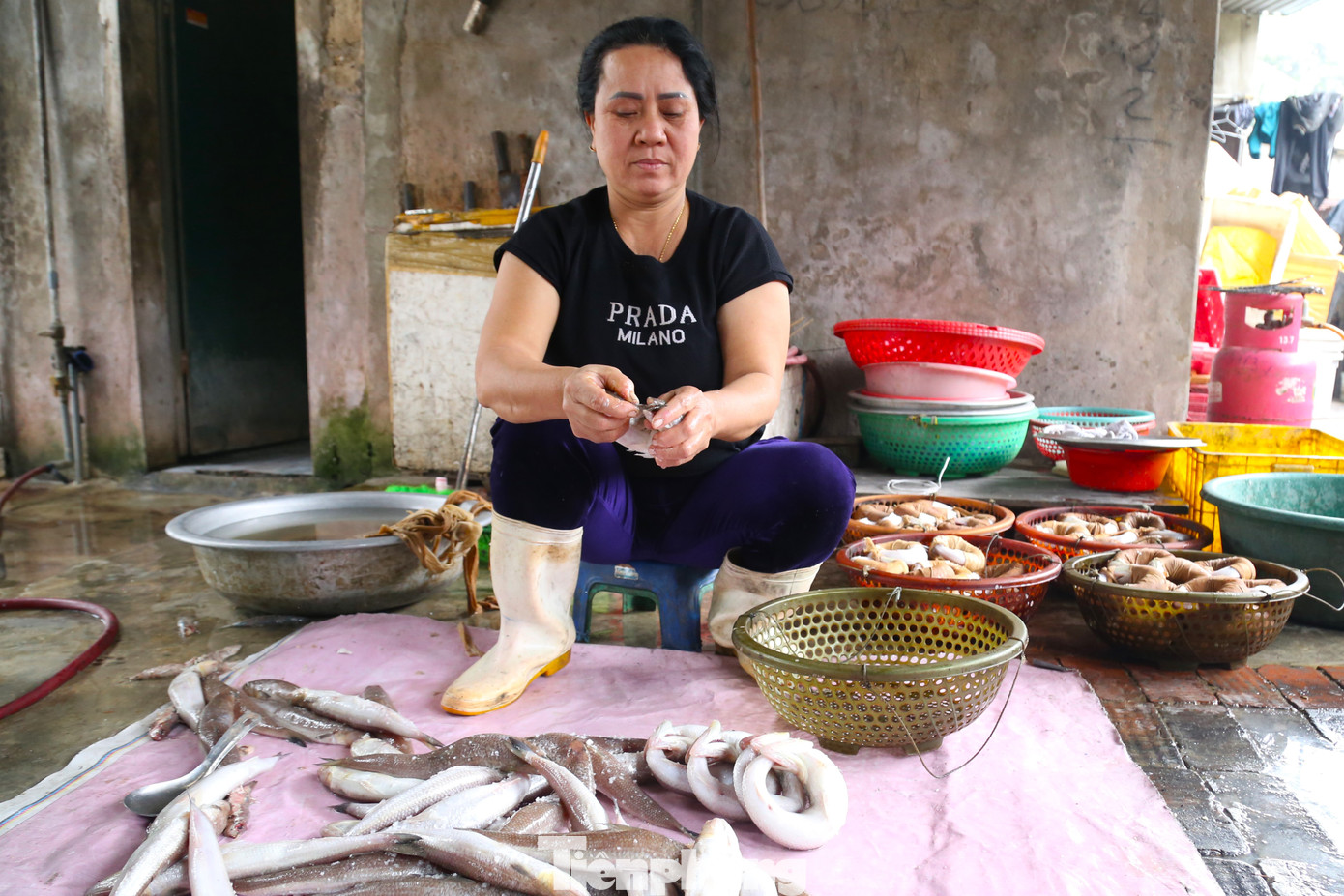 Từ 3 giờ sáng, bà Võ Thị Thu (SN 1975) cùng con gái ra bến, đợi thuyền đánh cá của các ngư dân trở về, lựa chọn mua những mẻ cá thửng tươi ngon, to đều. Cá đem về rửa sạch, để cho ráo nước rồi bắt đầu khâu tạo hình.