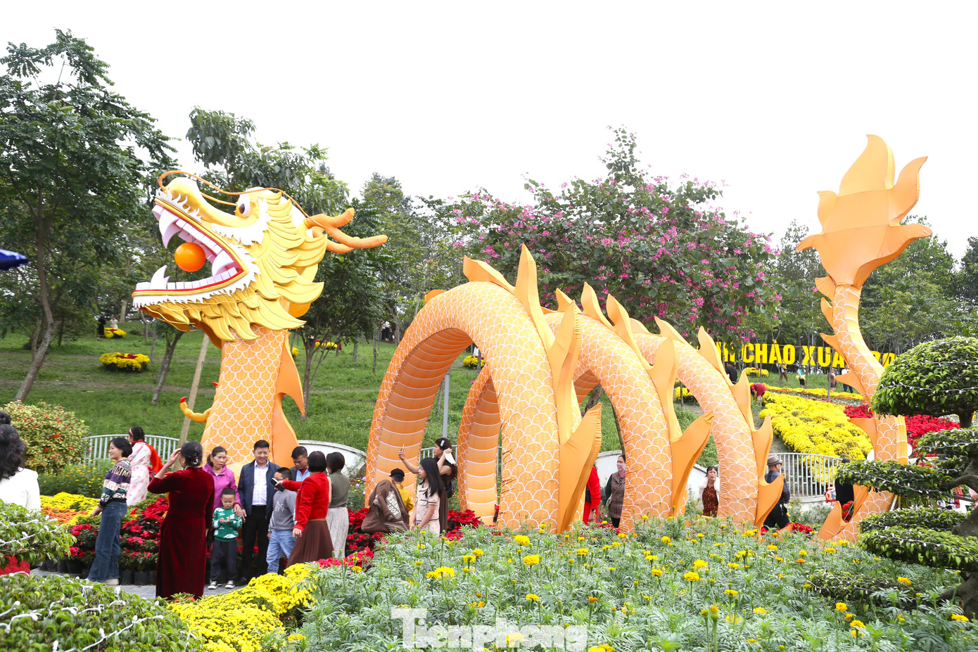 Linh vật rồng có chiều dài 30m, cao khoảng 5m và nặng hơn 2 tấn được các công nhân chế tạo hoàn thiện trong vòng 15 ngày. Cấu tạo linh vật được làm bằng khung sắt, bên ngoài bọc vải, bên trong lắp đặt hệ thống đèn led có thể phát sáng trong đêm.