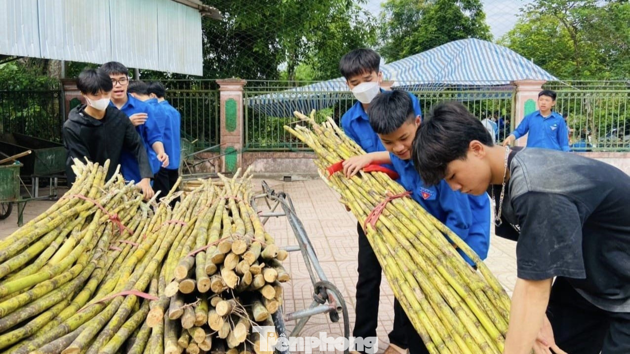 Để hỗ trợ phụ huynh và các sĩ tử giải tỏa bớt cái nắng nóng gay gắt của mùa hè, các cơ sở Đoàn còn chu đáo chuẩn bị nước mía giải khát trong những ngày kỳ thi diễn ra. Để hỗ trợ phụ huynh và các sĩ tử giải tỏa bớt cái nắng nóng gay gắt của mùa hè, các cơ sở Đoàn còn chu đáo chuẩn bị nước mía giải khát trong những ngày kỳ thi diễn ra.
