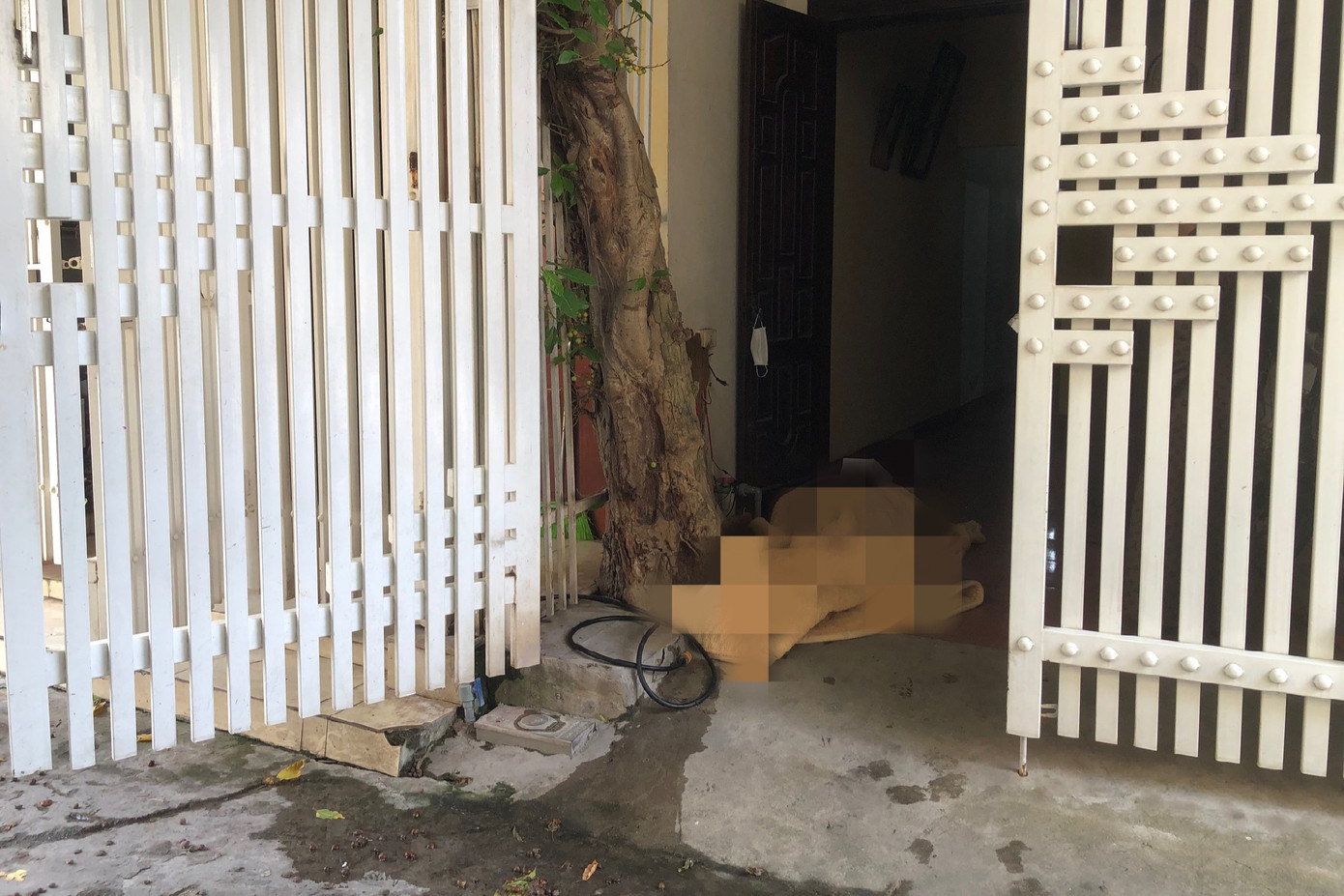 Hiện trường vụ việc