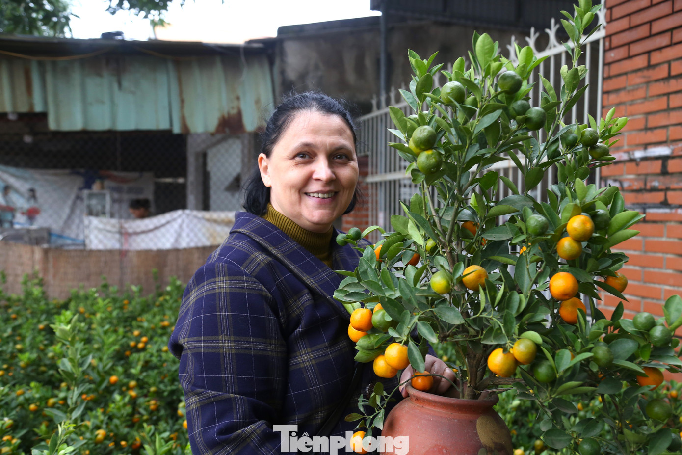 “Mua sớm sẽ dễ chọn được chậu quất đẹp, ưng ý, giá cả lại “mềm” hơn dịp sát Tết. Quất bonsai chơi được từ tháng 11 âm lịch đến hết tháng Giêng”, chị Hoa (trú xã Nghi Đức, TP Vinh) chia sẻ.