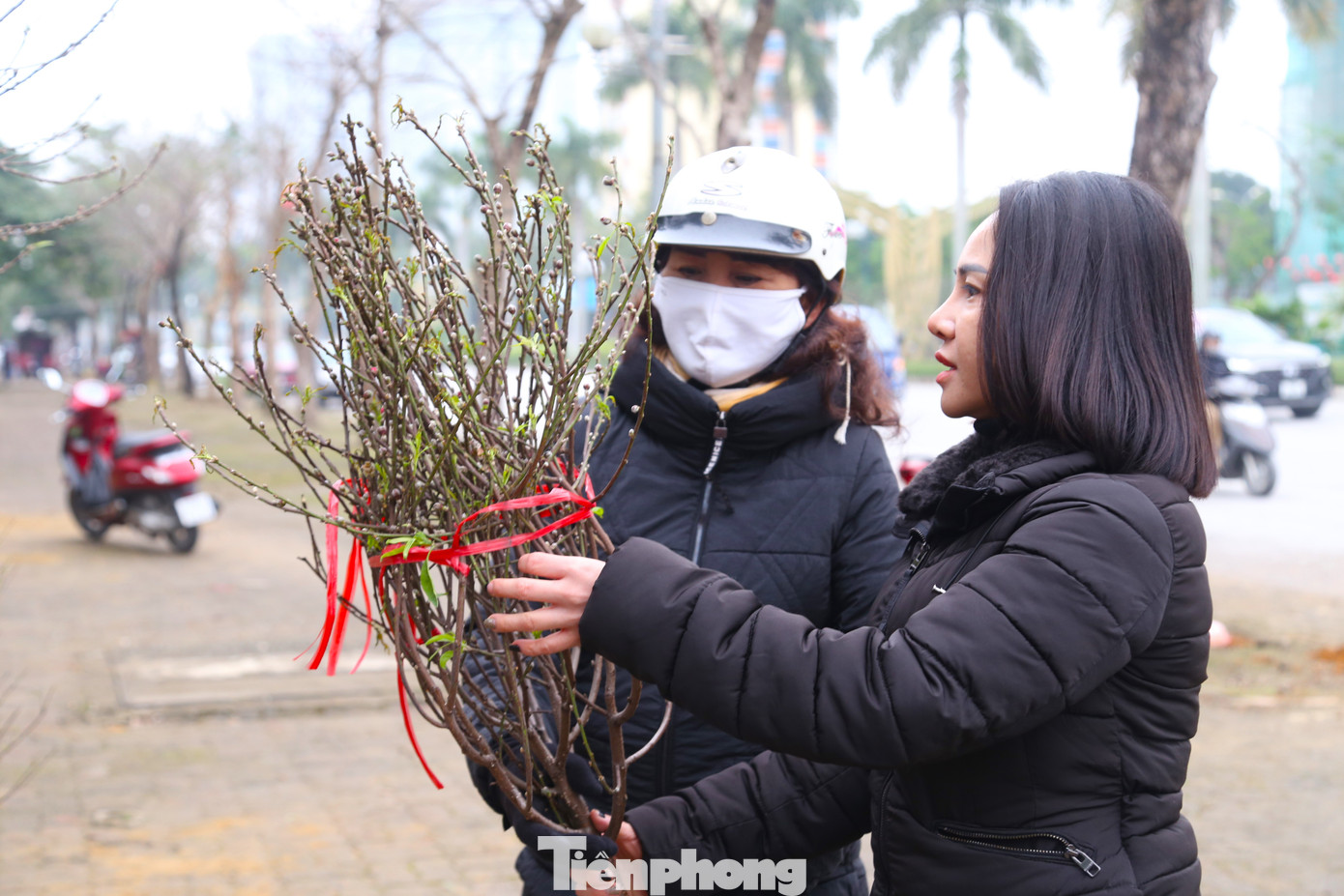 Cành đào mini hút khách tại các chợ hoa dịp gần Tết.