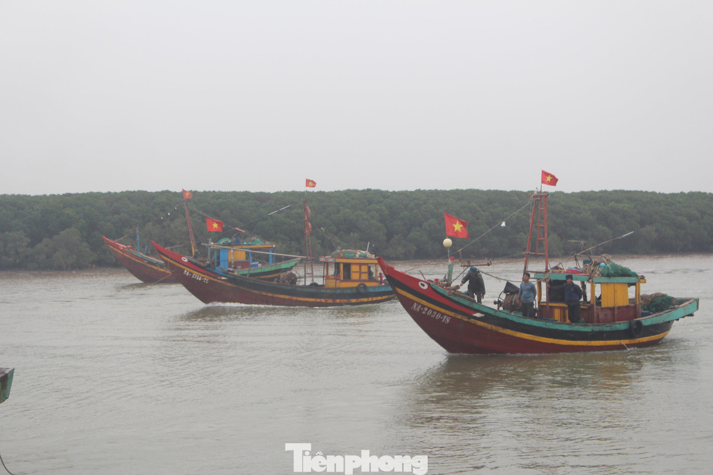 Từ 5h sáng, những con tàu đầy ắp tôm cá nối đuôi nhau liên tục cập cảng Lạch Vạn (xã Diễn Ngọc, huyện Diễn Châu, Nghệ An). Trên bến, dưới thuyền cũng trở nên rộn ràng, tấp nập, ngư dân ai cũng vui mừng phấn khởi.
