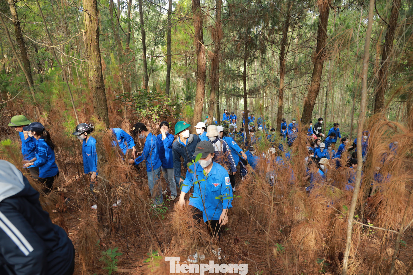 Hơn 500 đoàn viên thanh niên hăng hái tham gia.