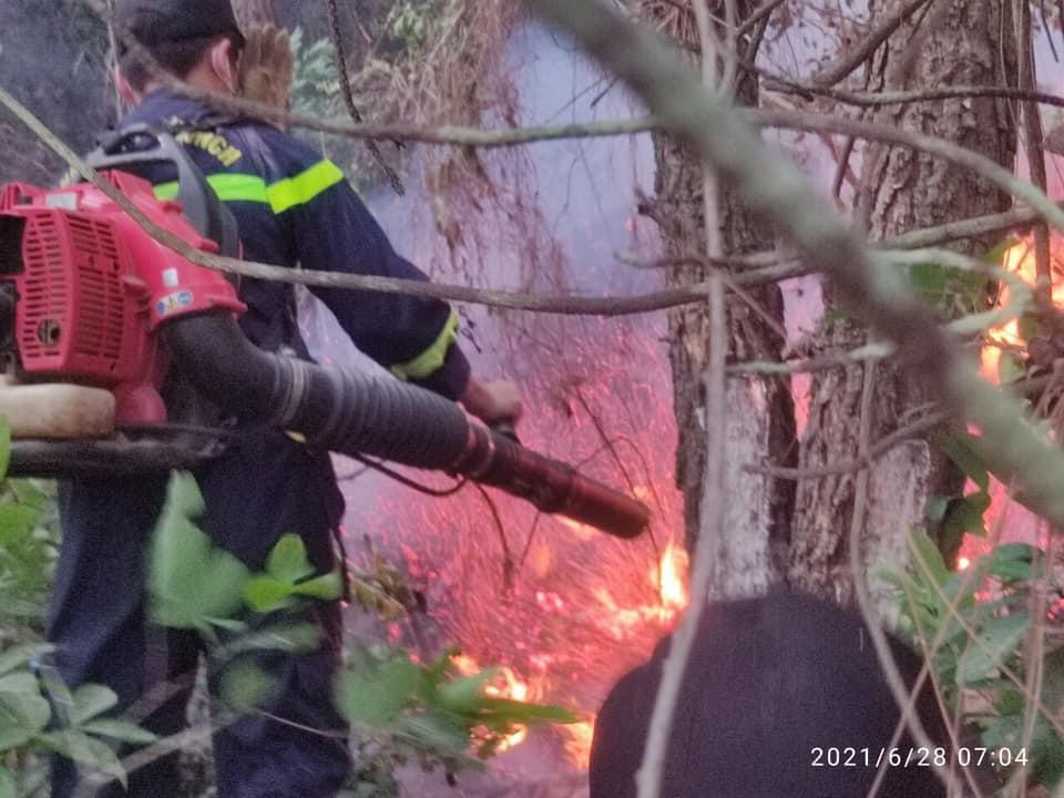 Cháy rừng tại khu vực núi Đại Huệ, xã Hưng Tây, huyện Hưng Nguyên, Nghệ An Cháy rừng tại khu vực núi Đại Huệ, xã Hưng Tây, huyện Hưng Nguyên, Nghệ An