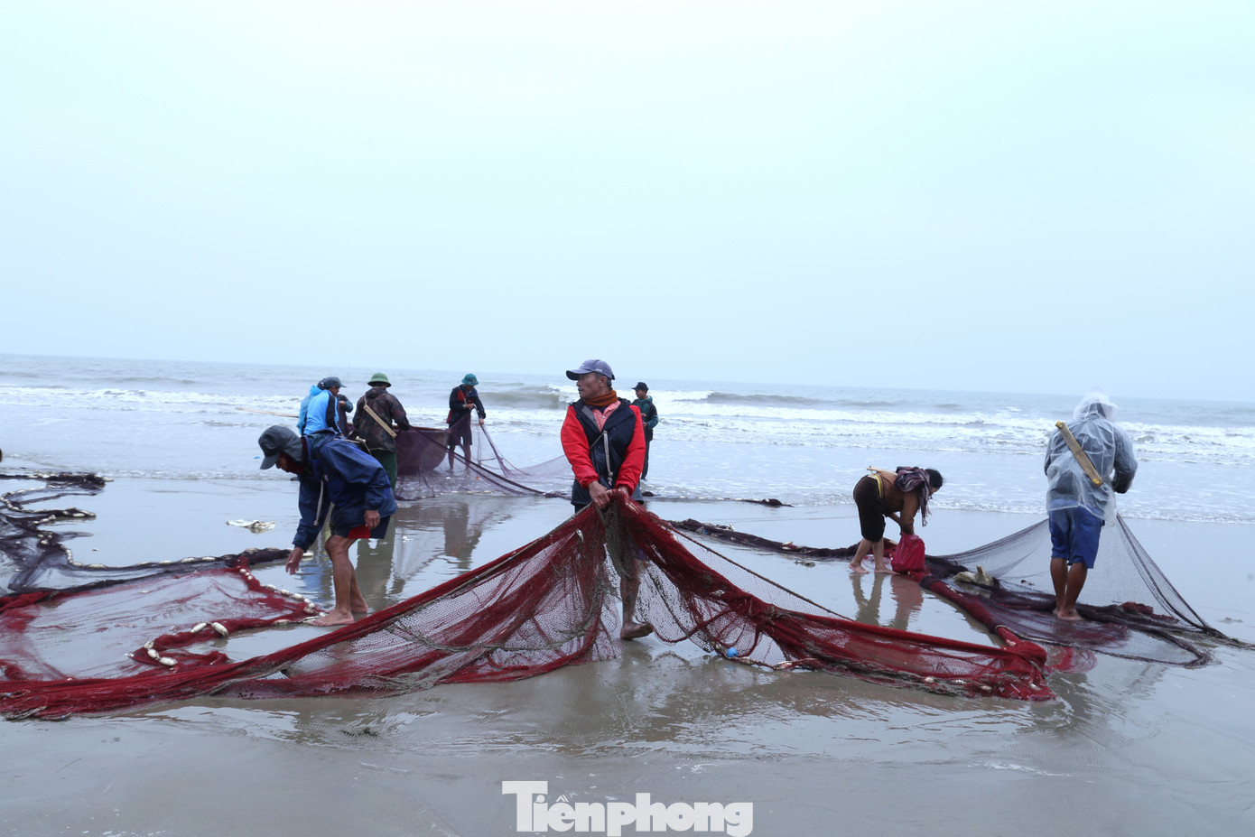 Ngư dân nhặt những con cá còn vướng vào lưới cho sạch và gấp lưới gọn gàng cho những lần đánh bắt sau. Ngư dân nhặt những con cá còn vướng vào lưới cho sạch và gấp lưới gọn gàng cho những lần đánh bắt sau.