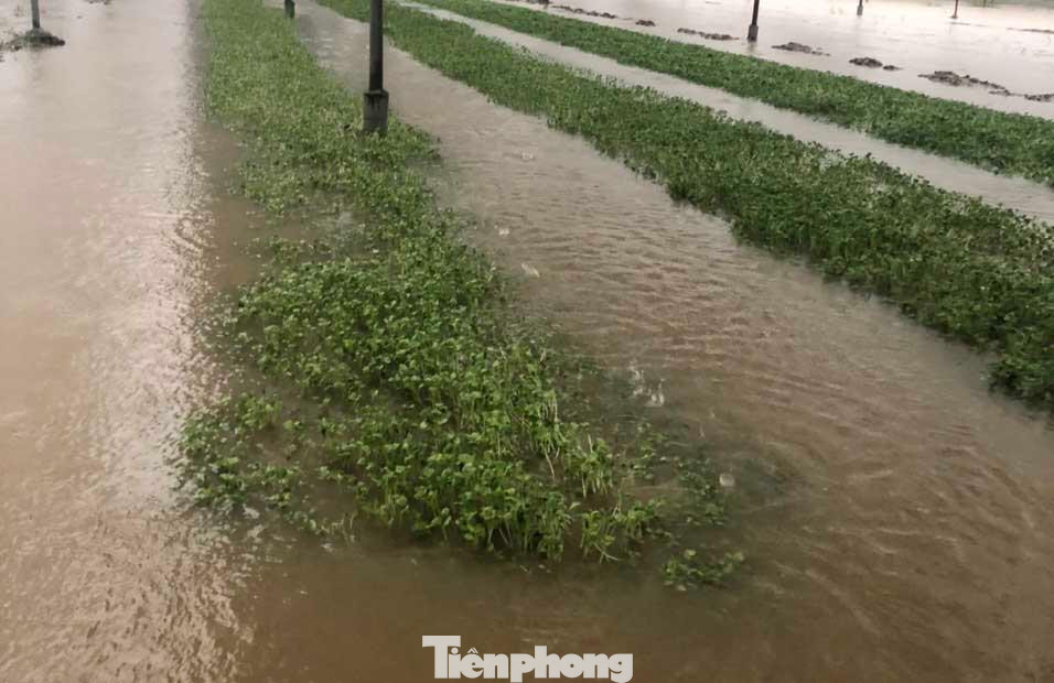Bà Nguyễn Thị Thu (xã Hưng Đông) buồn rầu: “Nhà tôi có 2 sào trồng rau, bao nhiêu công chăm sóc, giờ mưa ngập, hư hỏng hết”.