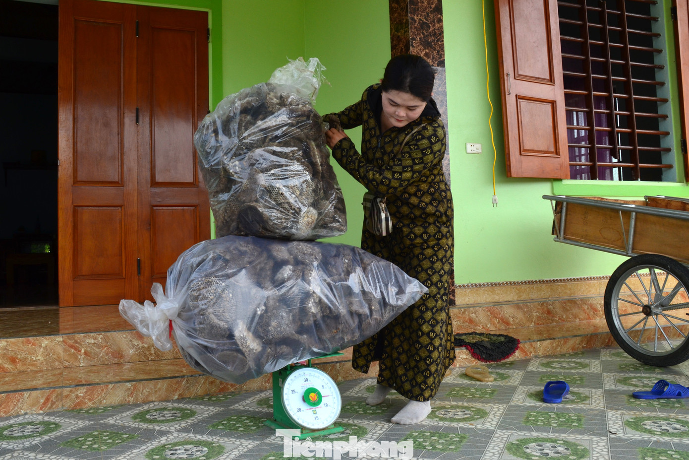 Mỗi ngày, chị Phạm Thị Nhung (SN 1993, ở xóm Nghĩa Sơn, xã Nghĩa Hợp, huyện Tân Kỳ, Nghệ An) đều rong ruổi đến các bản làng trên địa bàn để tìm mua sáp ong vàng. Mỗi ngày, chị Phạm Thị Nhung (SN 1993, ở xóm Nghĩa Sơn, xã Nghĩa Hợp, huyện Tân Kỳ, Nghệ An) đều rong ruổi đến các bản làng trên địa bàn để tìm mua sáp ong vàng.