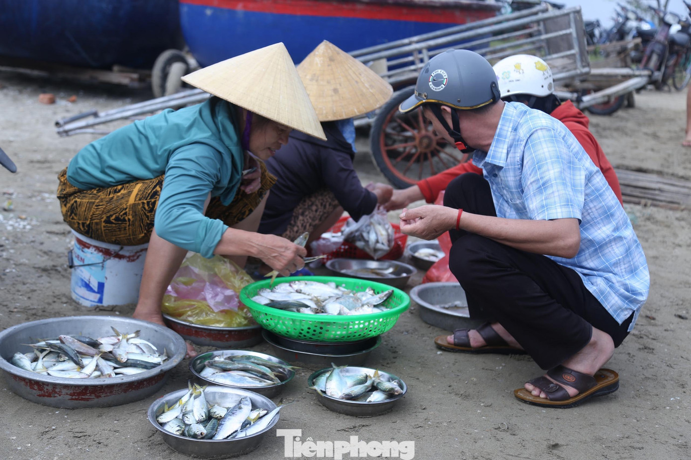 Hải sản đánh bắt được thường là cá vặt tươi sống, tôm, ruốc biển. Tất cả đều luôn tươi ngon nên rất được khách ưa chuộng.