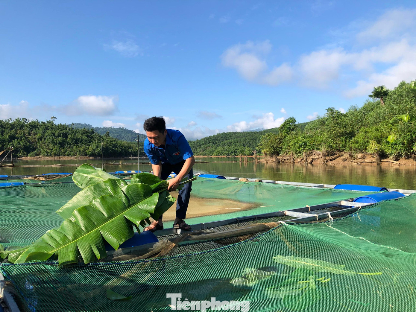 Anh Mùi cho cá ăn lá chuối
