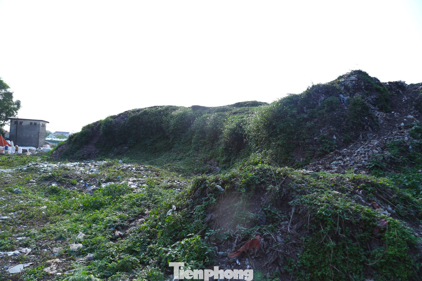 UBND TP Vinh thanh toán trên 41 tỷ đồng cho Công ty Seraphin để thực hiện dự án này. UBND TP Vinh thanh toán trên 41 tỷ đồng cho Công ty Seraphin để thực hiện dự án này.