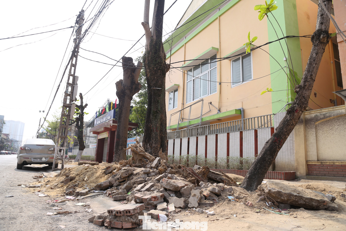 Trước cổng các trường mầm non, tiểu học và THCS Lê Mao, nhiều hố cây xanh đào nhưng chưa di dời gây khó khăn cho học sinh, phụ huynh tới trường.