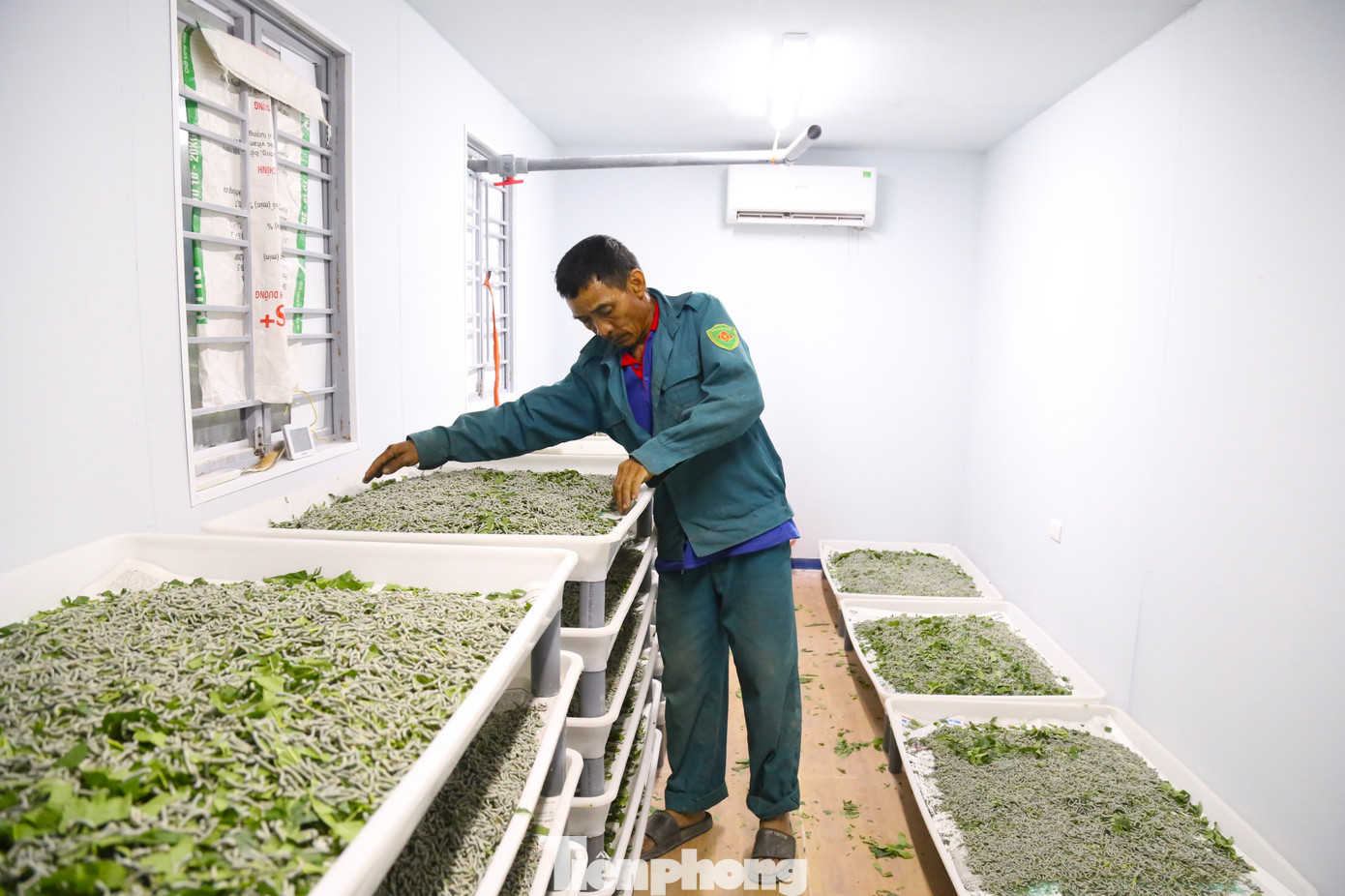 Ông Đinh Văn Đường (58 tuổi, trú ở huyện Đức Thọ, tỉnh Hà Tĩnh), người được phân công phụ trách chăm sóc tằm ở giai đoạn tuổi 1 cho biết, ngoài việc thức ăn đúng tiêu chuẩn, phải đảm bảo môi trường sống thích hợp cho tằm. “Ở giai đoạn này, nhiệt độ trong phòng phải ở mức 25 - 27 độ C, độ ẩm 80 - 85%. Ngoài việc lắp điều hòa để duy trì nền nhiệt, trong phòng luôn phải có máy phun sương tạo độ ẩm”, ông Đường cho hay.