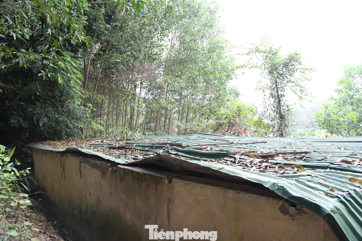 Bể nước được che đậy khá đơn sơ