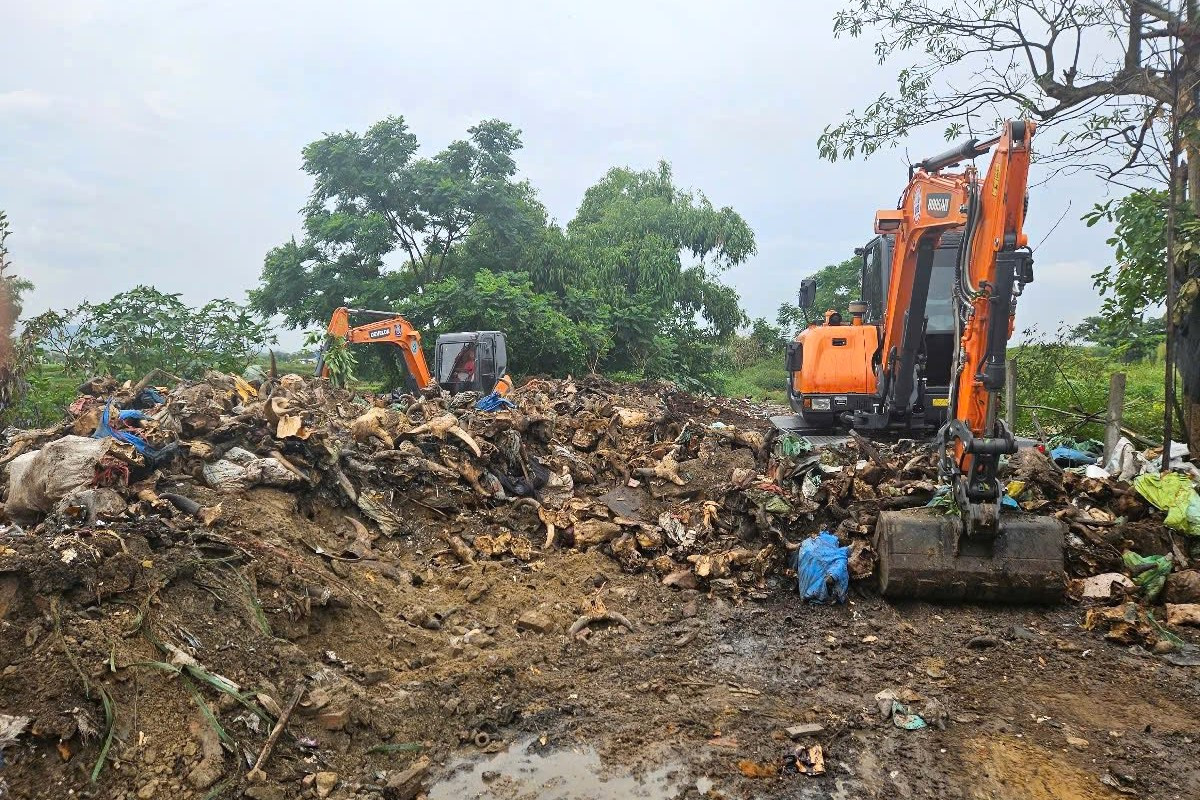 Nghĩa địa đầu bò ở phường Vinh Phú được thu dọn, chôn lấp Nghĩa địa đầu bò ở phường Vinh Phú được thu dọn, chôn lấp