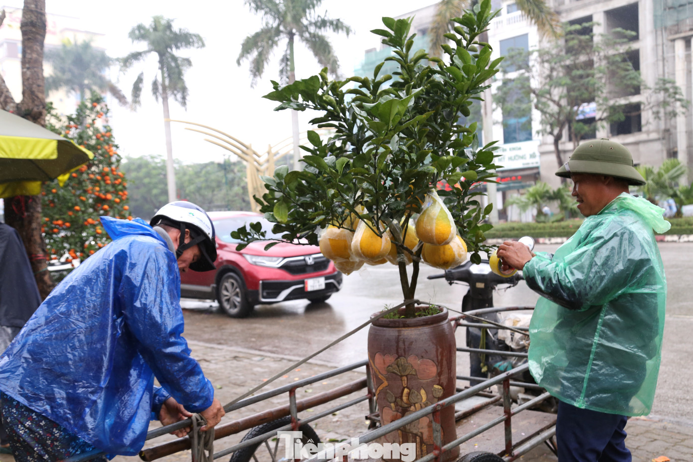 Nhiều người tìm được chậu cây cảnh ưng ý, dịch vụ chở thuê cây cảnh về tận nhà cũng đắt khách chiều 30 Tết.