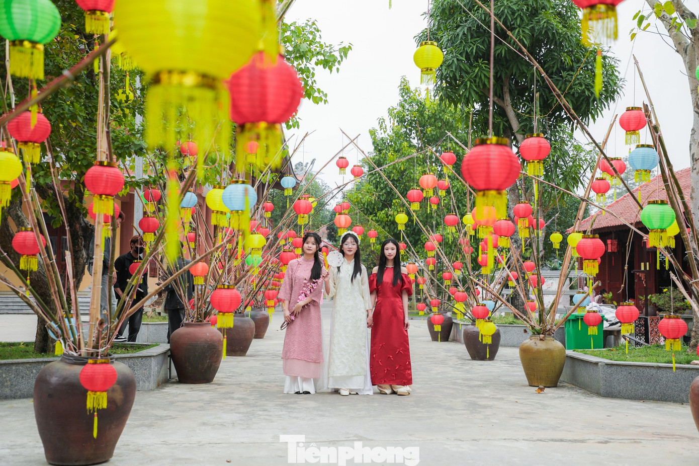 Dịp Tết Nguyên đán Ất Tỵ, các phật tử tại chùa Cổ Am (huyện Diễn Châu, Nghệ An) đã trang trí nhiều tiểu cảnh, tạo cảnh sắc lung linh, rực rỡ, thu hút nhiều bạn trẻ đến chụp ảnh xuân.