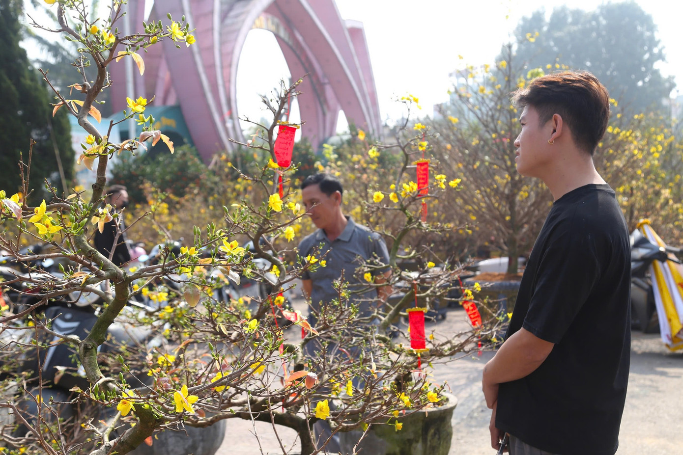 Khách đến xem mai nhưng ít người mua.