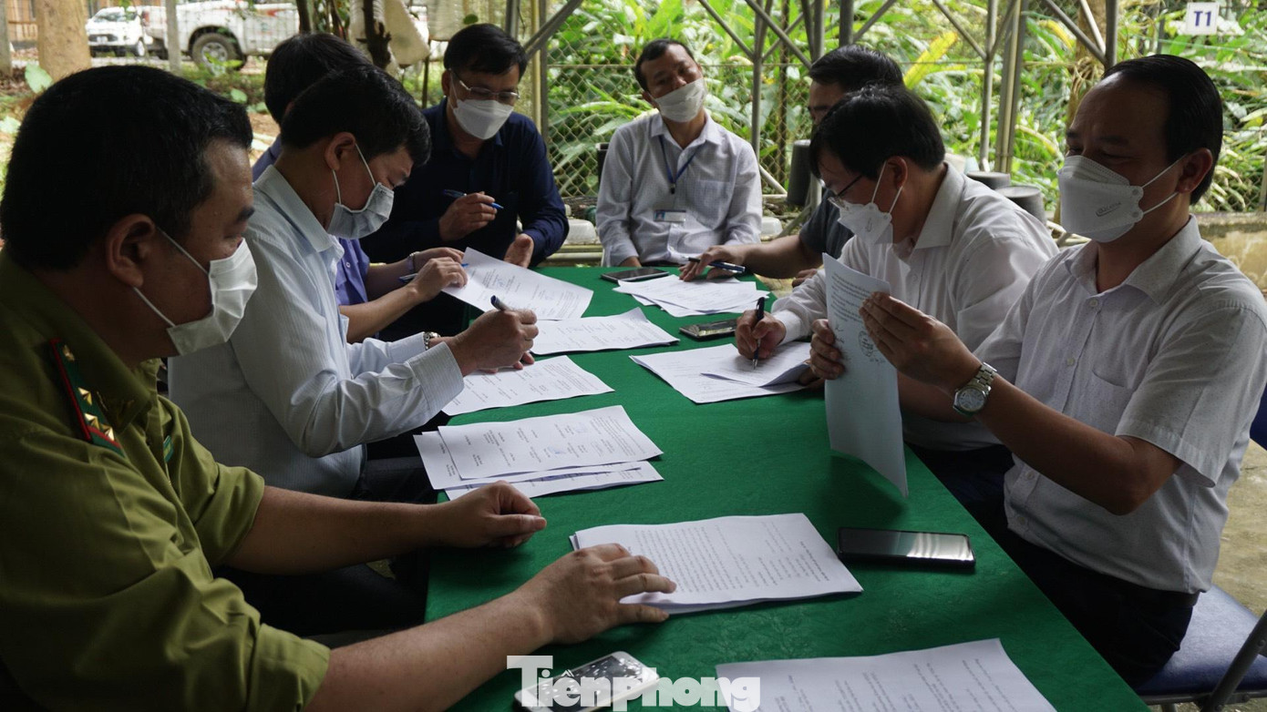 Các bên ký kết bàn giao hổ