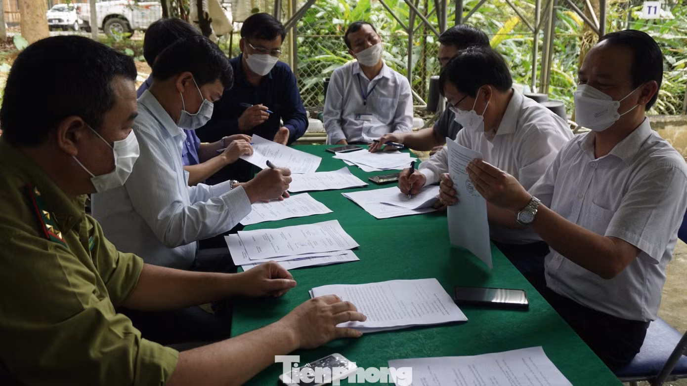 Các bên ký kết bàn giao hổ Các bên ký kết bàn giao hổ