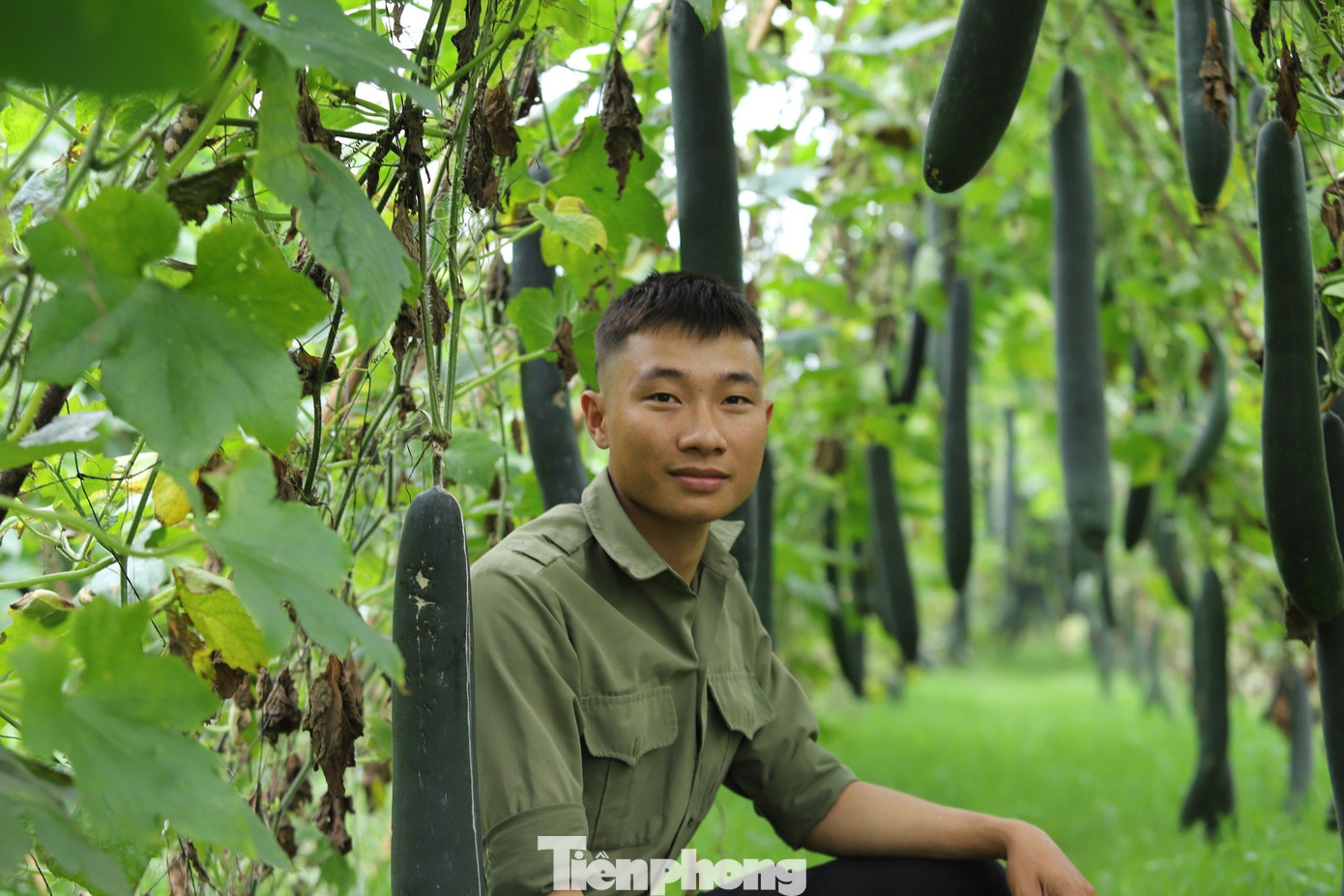 Lê Lưu Thắng bên ruộng bí ở xã Nam Thanh, huyện Nam Đàn, Nghệ An.