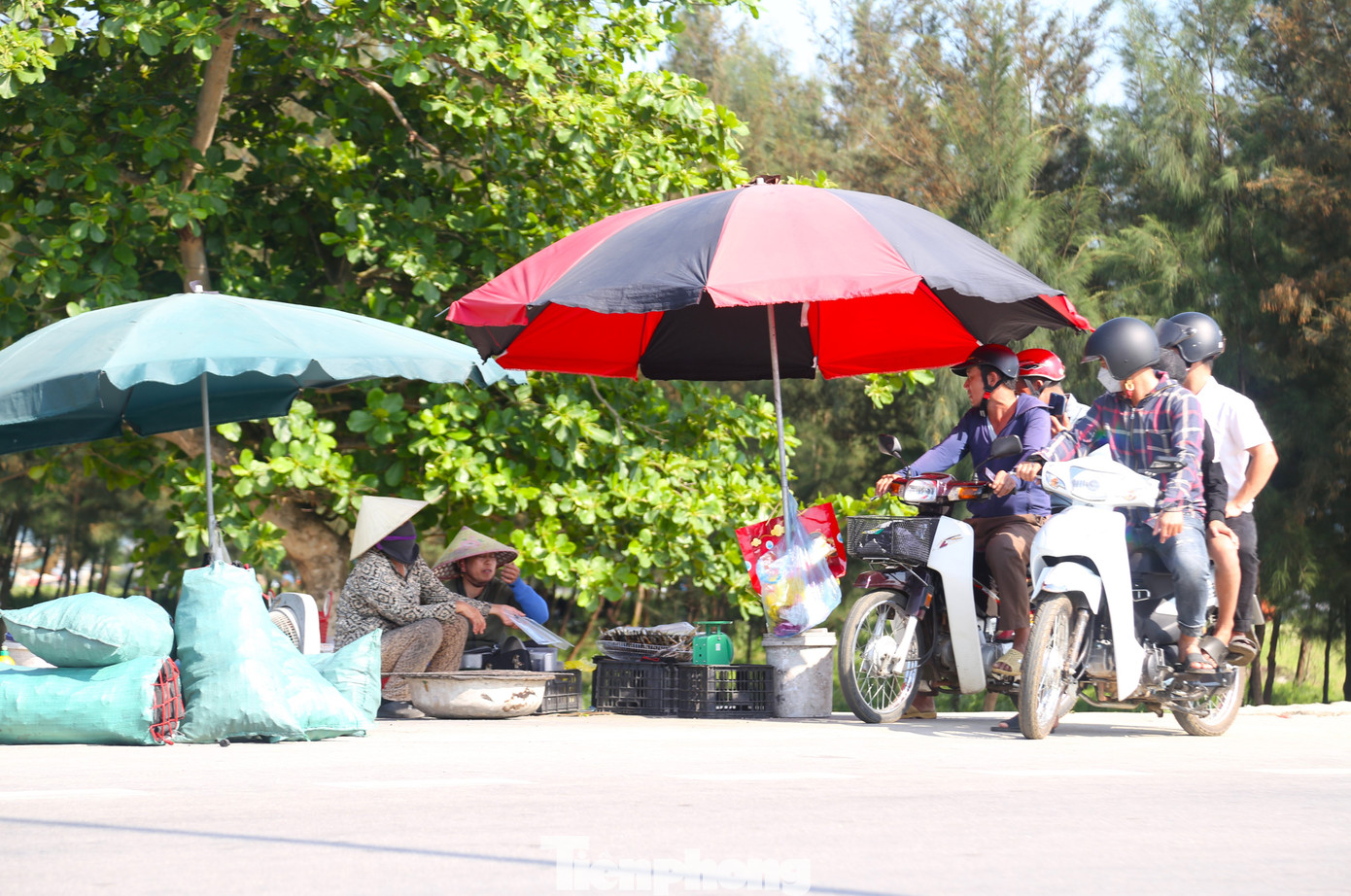 Cá trích nướng được nhiều khách ưa chuộng.