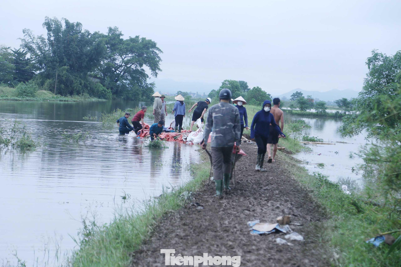 Khoảng 20h tối 29/9, đê kênh thấp hay còn gọi là đê Hội Tĩnh đoạn qua xóm 7, Làng Rào, xã Hưng Đạo, huyện Hưng Nguyên, Nghệ An bị vỡ khoảng 7m. Hơn 300 cán bộ chiến sĩ, bộ đội, biên phòng cùng người dân đã dầm mưa, trắng đêm khắc phục sự cố.