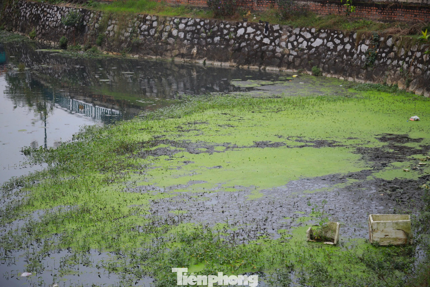 Ghi nhận thực tế cho thấy, nước trong hào đen ngòm, đặc quánh bùn thải, bốc mùi xú uế. Nhiều đoạn rác thải ken đặc, cỏ mọc um tùm che kín cả lòng hào là nơi cho ruồi, muỗi sinh sống.
