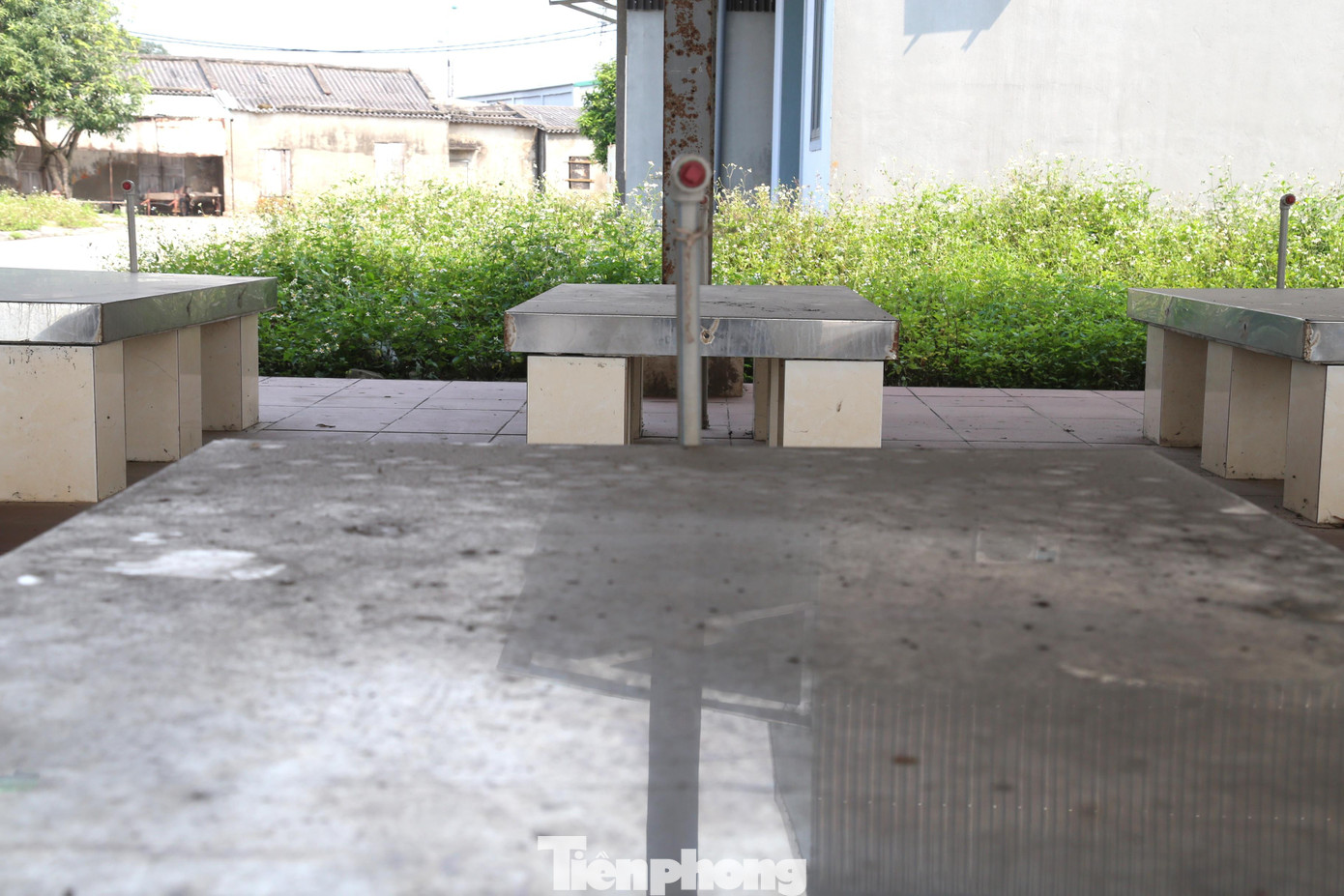 Dự án hướng đến phục vụ lượng hàng thủy sản qua cảng thiết kế từ 15.000 tấn/năm trở lên. Đáp ứng khả năng đón tiếp cho tàu cá có công suất đến dưới 800 CV và 120 lượt chiếc/ngày trở lên.