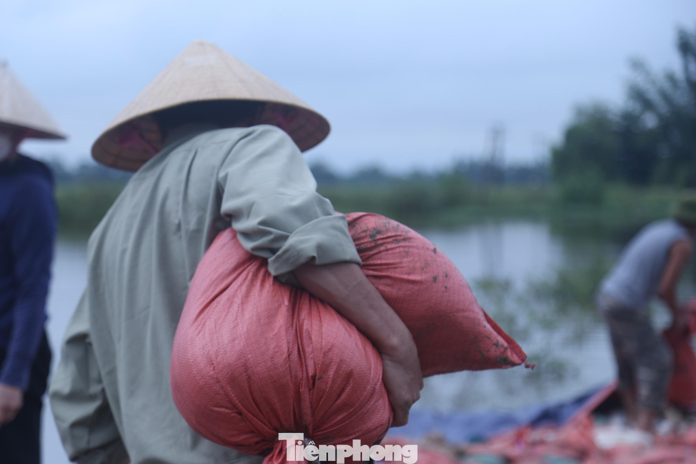 Theo thống kê sơ bộ của xã Hưng Đạo, sự cố vỡ đê kênh thấp đã gây thiệt hại 8ha cá vụ 3 và 8,5ha chuyên cá.