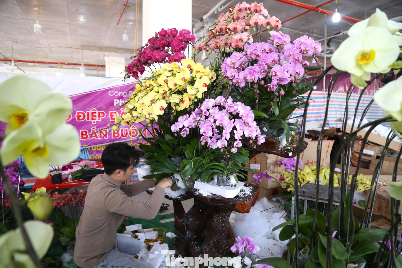 Dịp này, chị Thủy Víc phải thuê thêm 5 thợ chính và 10 thợ phụ.