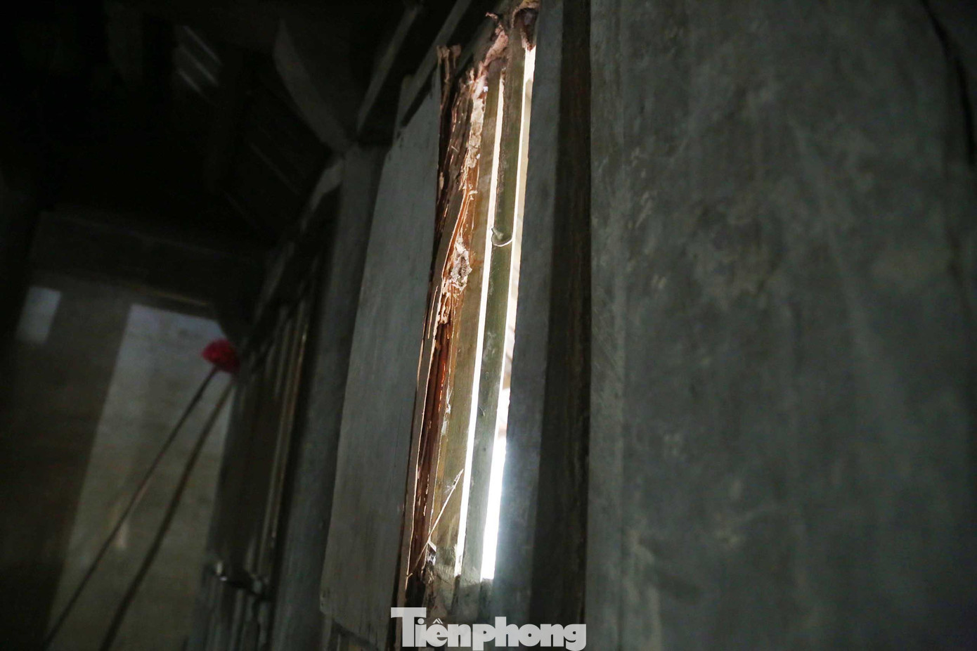 Do nằm trên địa hình trũng thấp, xung quanh là đồng ruộng bao phủ nên những lúc mưa lũ, đền đều phải chịu cảnh ngập lụt. Điều đó gây nên tình trạng mối mọt và xuống cấp nghiêm trọng. Trong hình, phần cánh cửa ở thượng điện của đền Rậm ngoài bị mối mọt đục ruỗng.