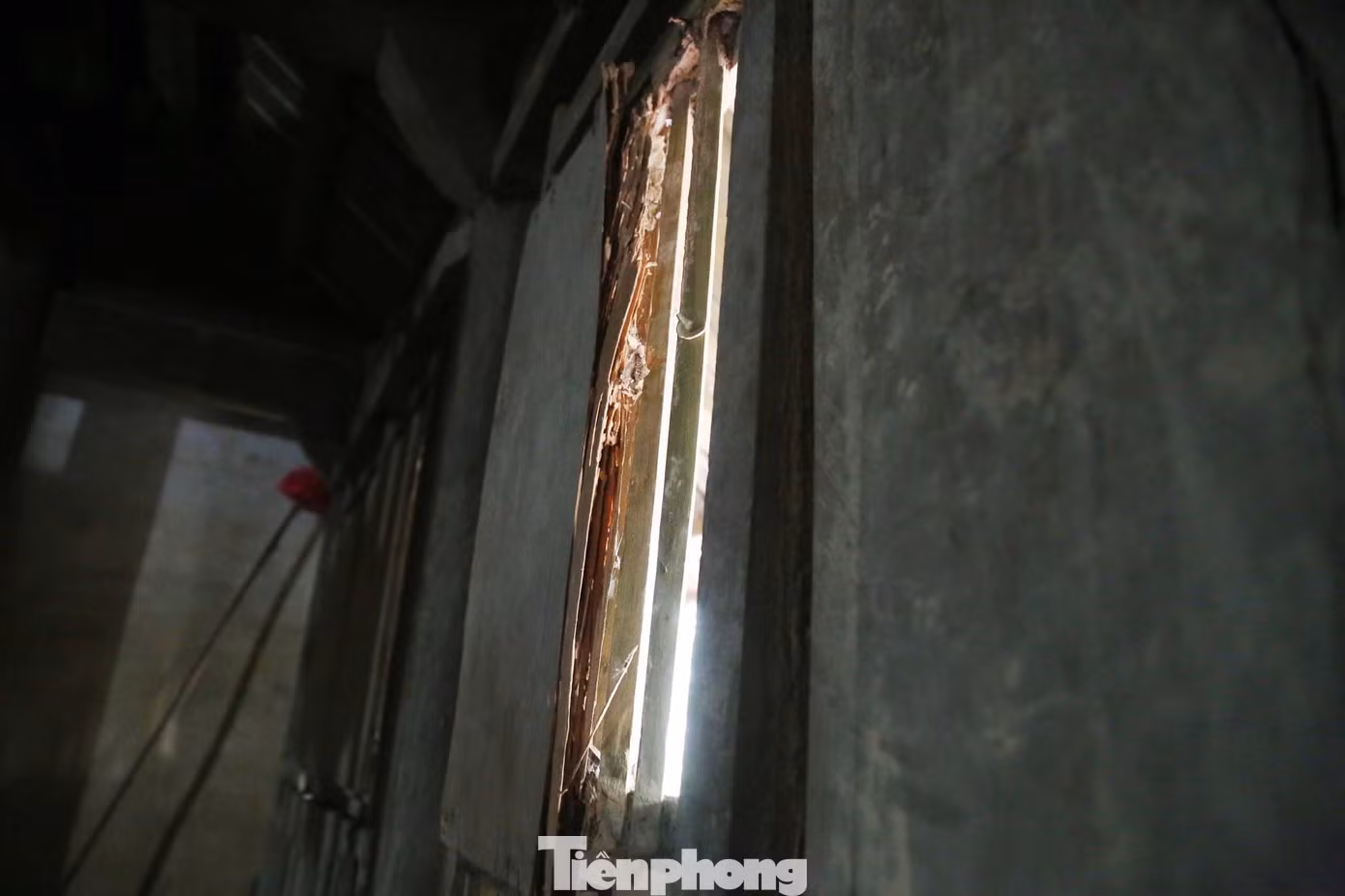 Do nằm trên địa hình trũng thấp, xung quanh là đồng ruộng bao phủ nên những lúc mưa lũ, đền đều phải chịu cảnh ngập lụt. Điều đó gây nên tình trạng mối mọt và xuống cấp nghiêm trọng. Trong hình, phần cánh cửa ở thượng điện của đền Rậm ngoài bị mối mọt đục ruỗng.