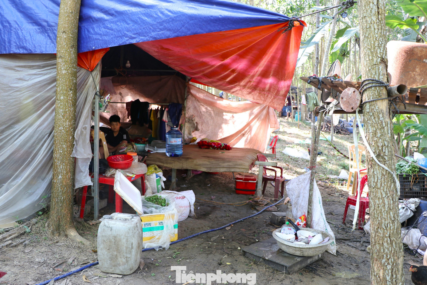 Nghề nuôi ong du mục mang lại thu nhập cao, tuy nhiên nay đây mai đó, họ phải sống một cuộc sống tạm bợ trong những túp lều xiêu vẹo dựng dưới cánh rừng. Anh Tuyền cho biết, cuối tháng 6, anh sẽ thu dọn trại, chuyển ong vào Tây Nguyên cho vụ mật tiếp theo.