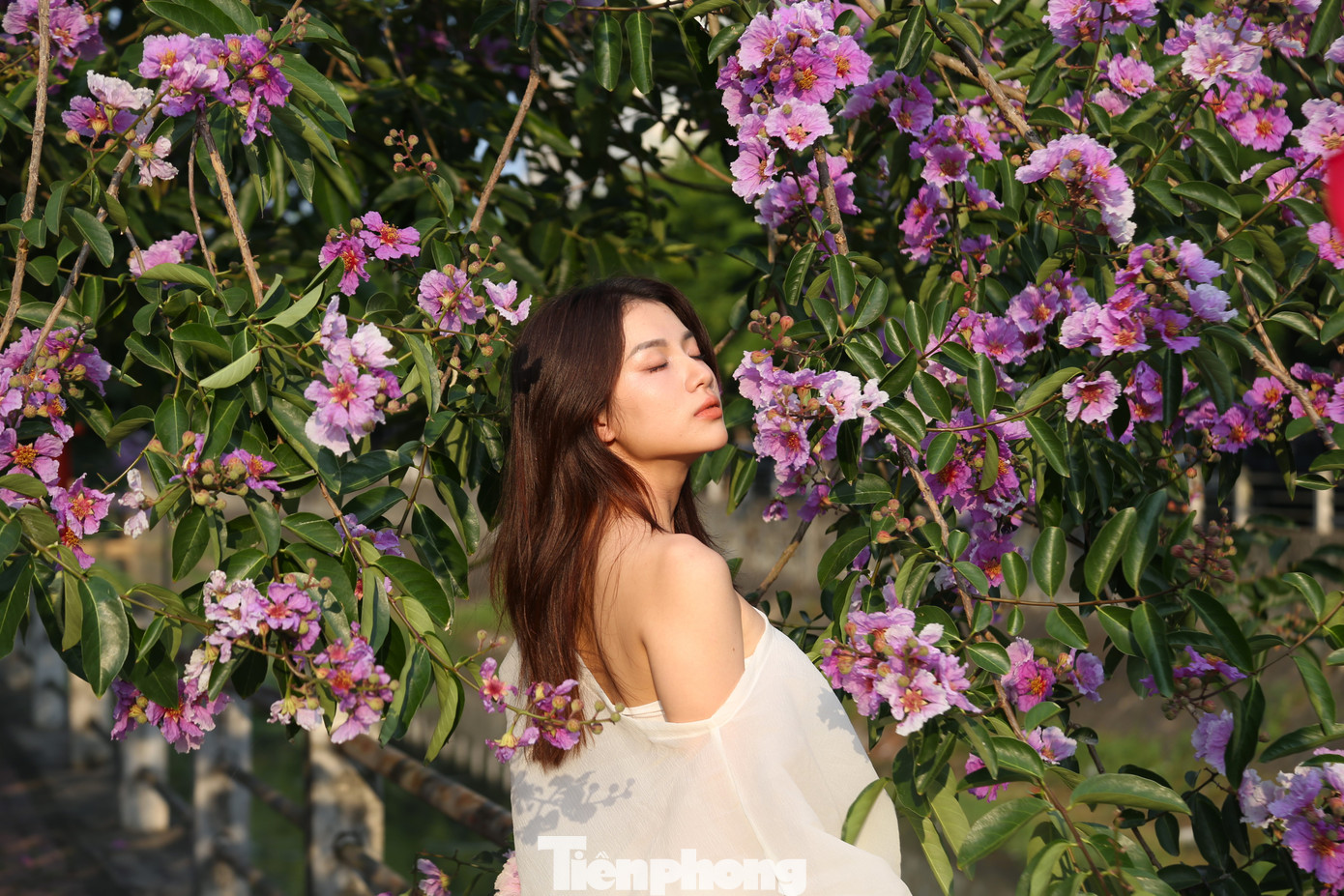 Với hoa bằng lăng, không cần tạo dáng cầu kỳ vẫn có những bức ảnh đẹp.