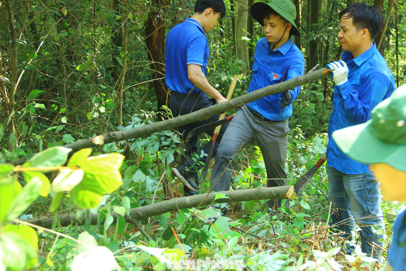 Hoạt động thiết thực này sẽ giúp các tầng lớp nhân dân nâng cao ý thức phòng cháy, chữa cháy rừng, đặc biệt là trong mùa nắng nóng
