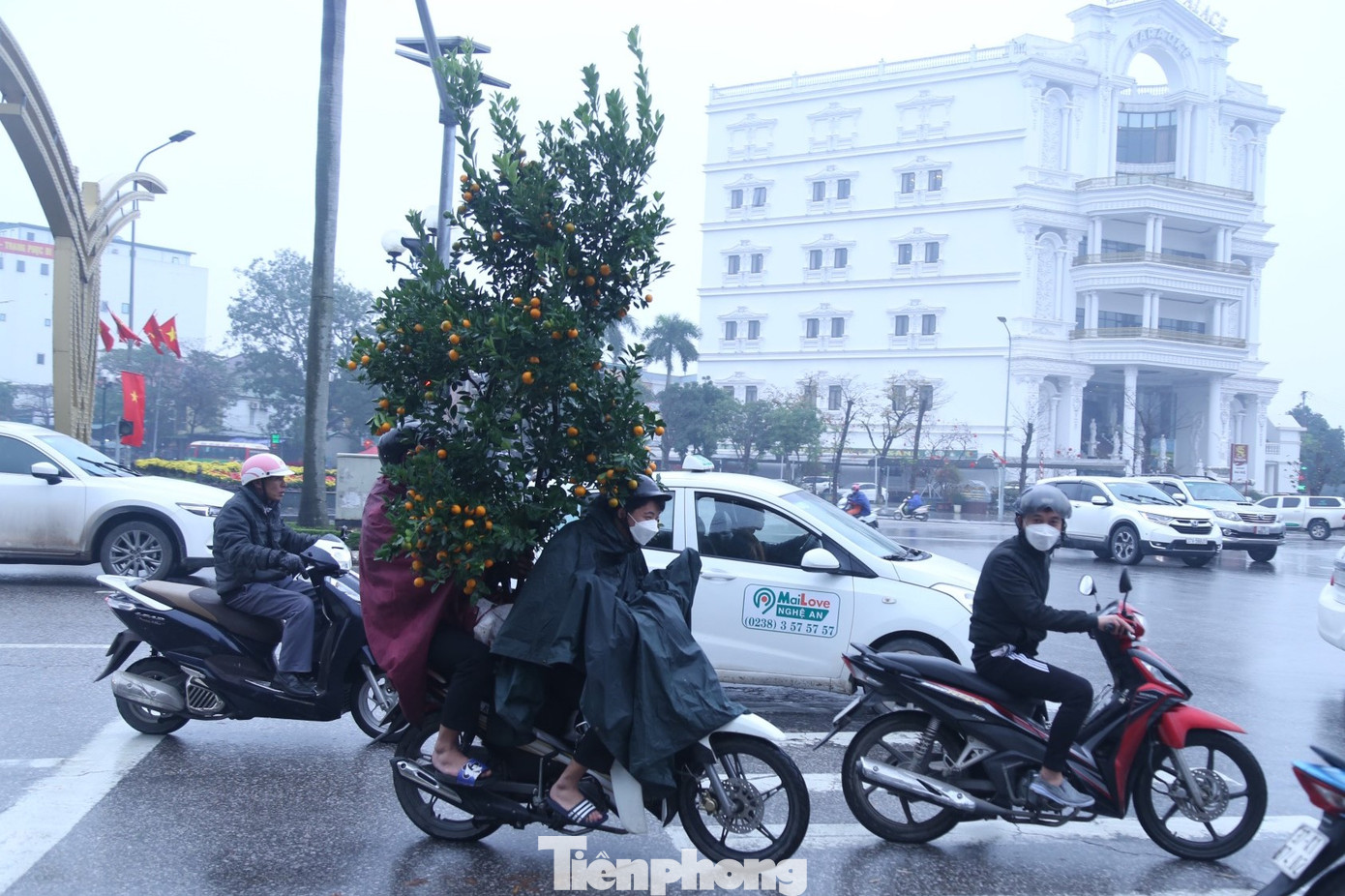 Do đây là công việc thời vụ, chỉ diễn ra trong thời gian ngắn nhưng lại cho thu nhập cao, nên lượng người làm nghề vận chuyển cây cảnh Tết ngày càng đông.