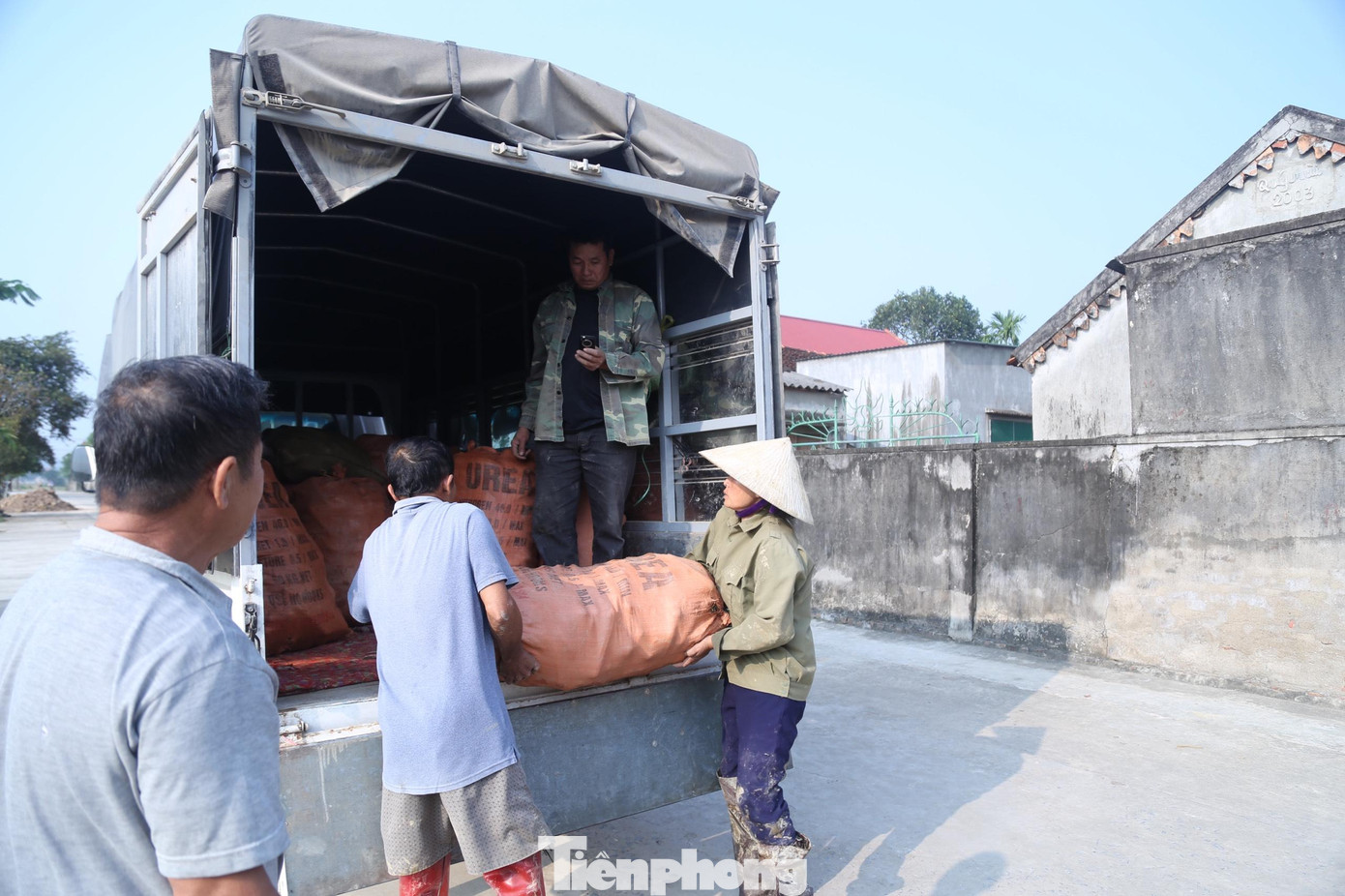 Thương lái về tận vườn thu mua