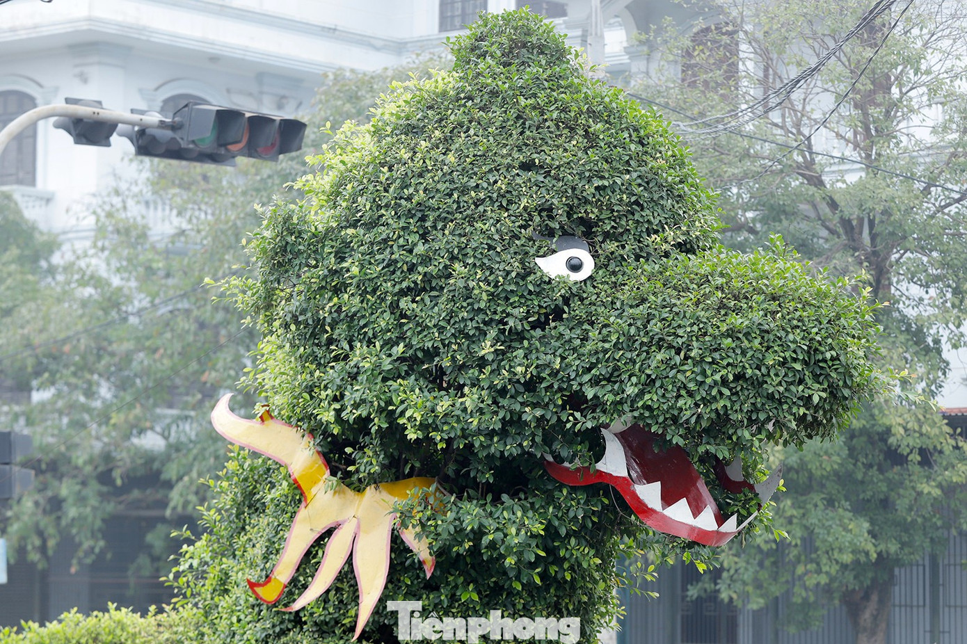 Đầu rồng trước và sau khi được "phẫu thuật thẩm mỹ"