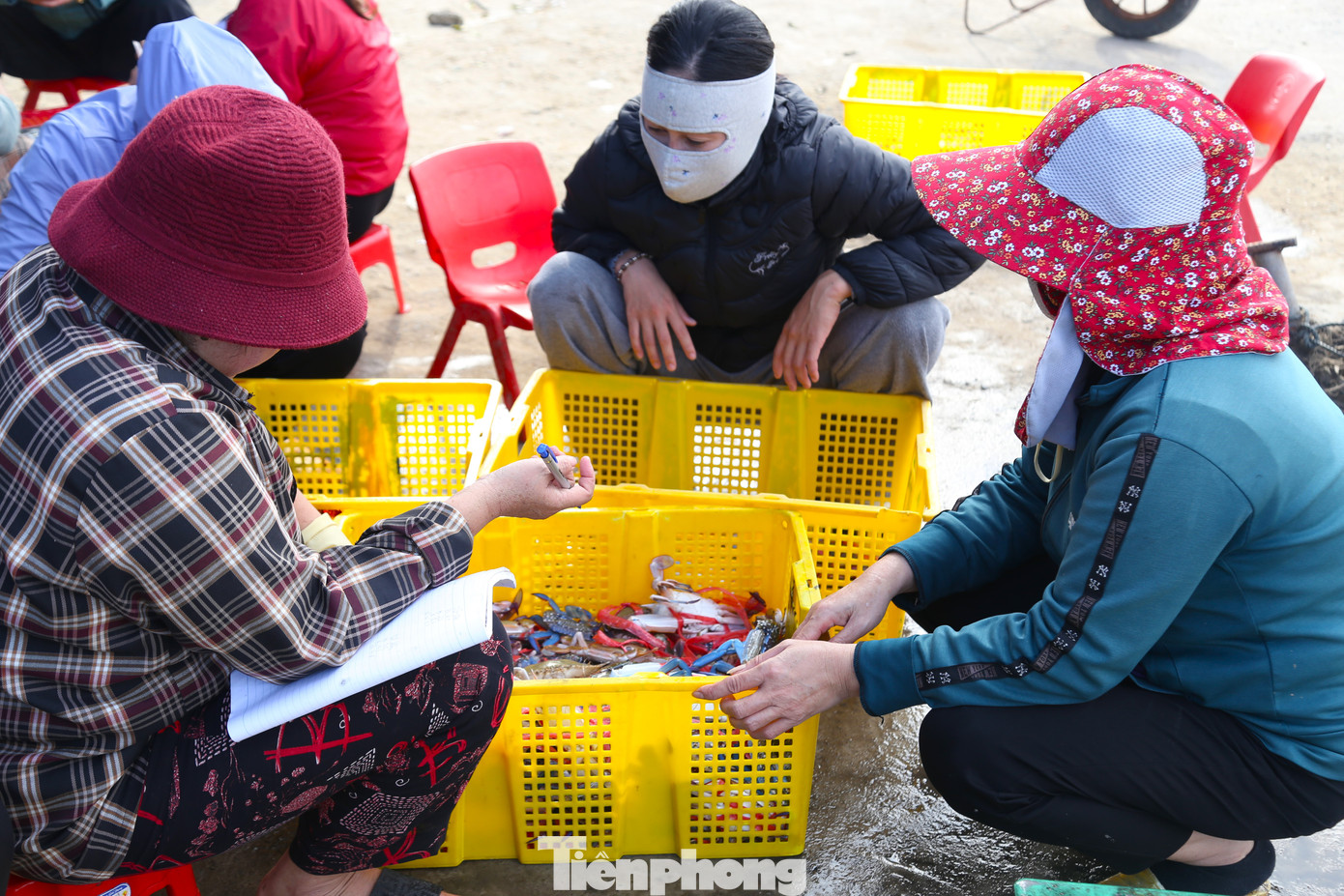 Thuyền chưa về bến, lái buôn đã tập trung đông trên bến đứng đợi để mua ghẹ. Cảnh lựa ghẹ, mua bán ghẹ diễn ra khá tấp nập.