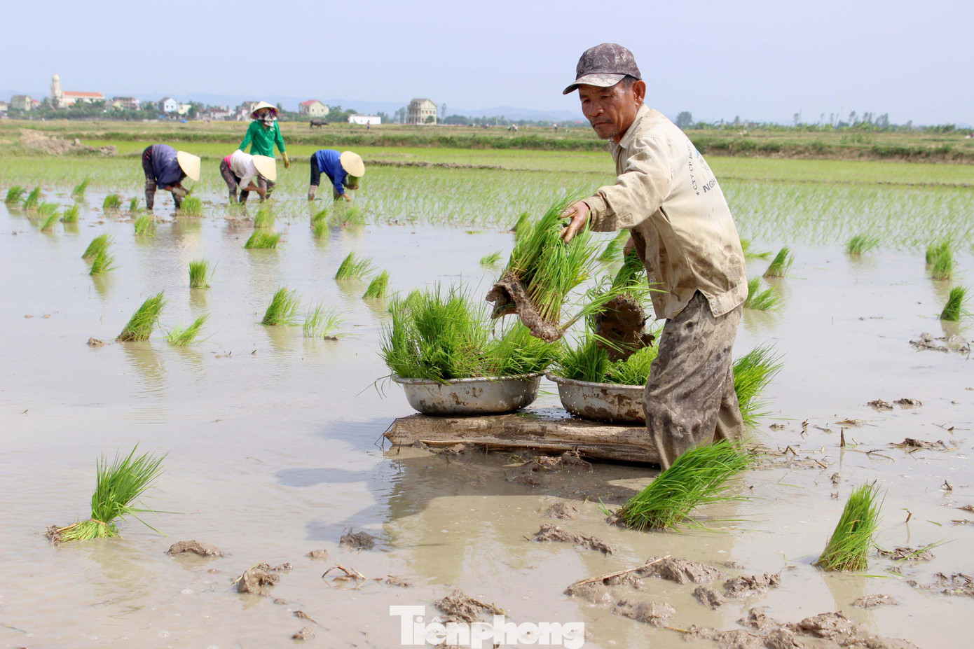 Không khí lao động phấn khởi ngày đầu xuân của bà con nông dân.