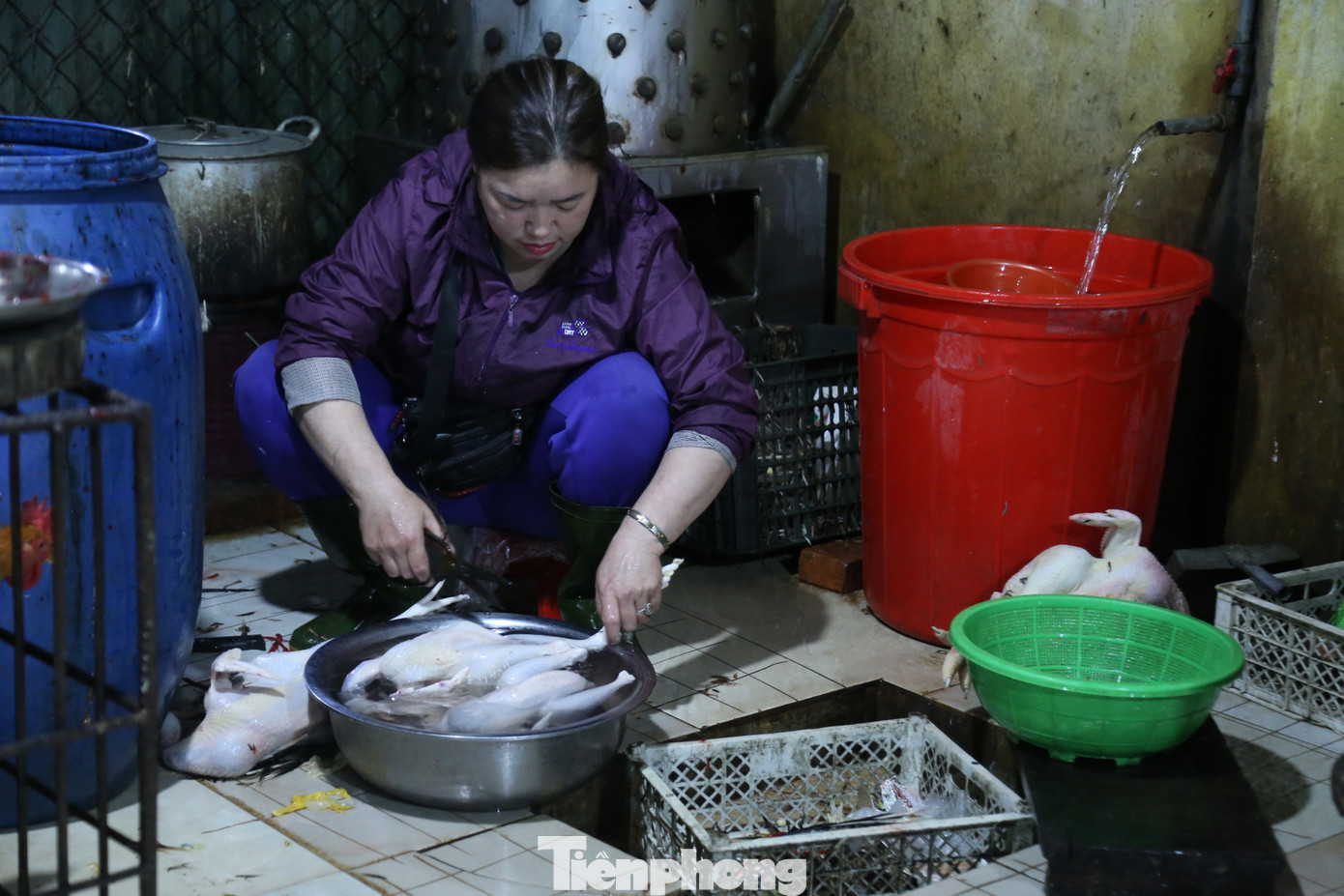 Dịch vụ làm thuê gà cúng 'đắt khách' ngày Rằm tháng Giêng.