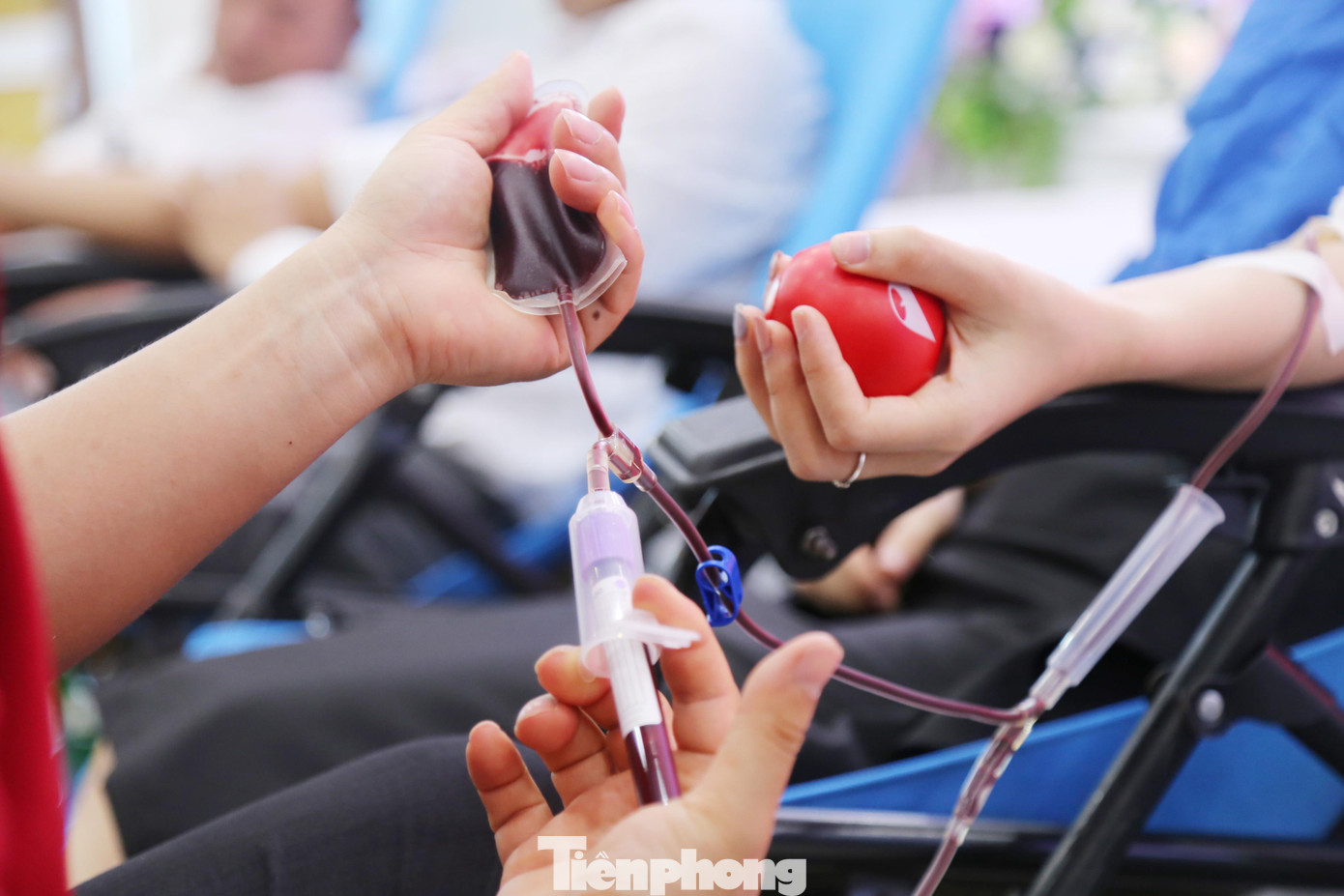 Chương trình dự kiến tiếp nhận 1.200 đơn vị máu Chương trình dự kiến tiếp nhận 1.200 đơn vị máu