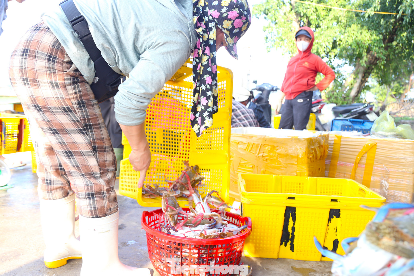 Hải sản tươi sống luôn “cháy hàng” khi cập bến.