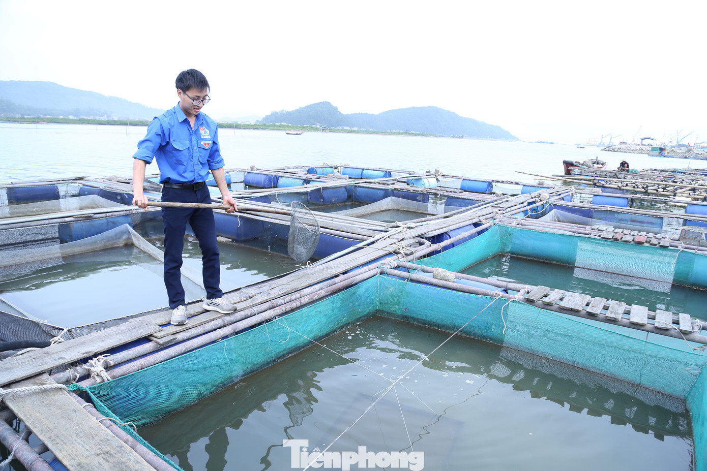 Thành sở hữu 8 lồng cá, mỗi năm thu về hơn 300 triệu đồng. Thành sở hữu 8 lồng cá, mỗi năm thu về hơn 300 triệu đồng.