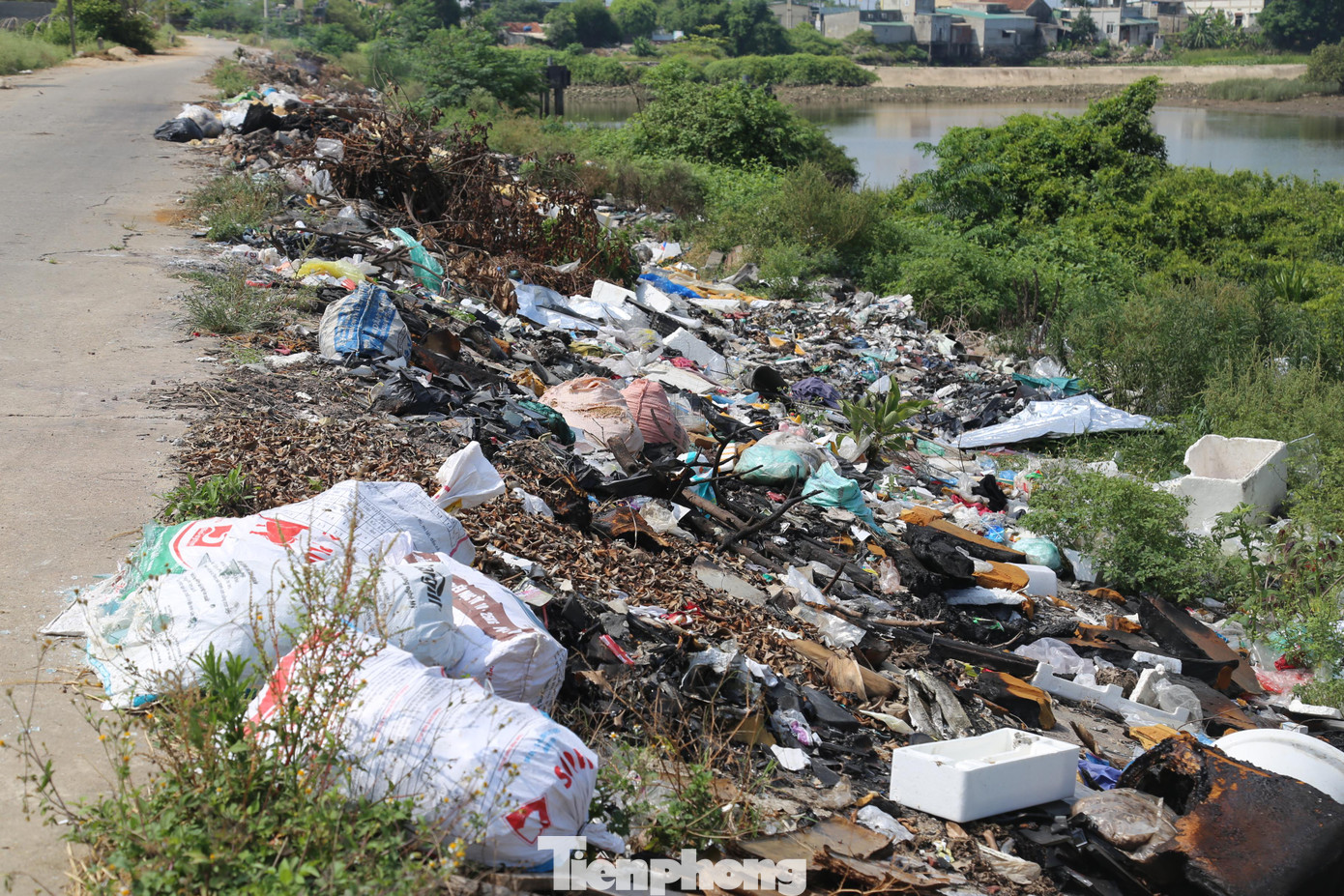 Khu vực đê sông Bùng chạy qua các xã Diễn Ngọc, Diễn Kỷ, Diễn Vạn (huyện Diễn Châu, Nghệ An) đang bị rác thải “bủa vây”. Ghi nhận sáng 10/6, rác được người dân cho vào túi bóng hoặc bao tải và mang ra bờ đê vứt. Không chỉ rác thải sinh hoạt mà nhiều người còn mang các mảnh vỡ thủy tinh, gạch vụn, rác thải y tế... Kéo theo đó là mùi hôi thối, ruồi nhặng bao phủ.