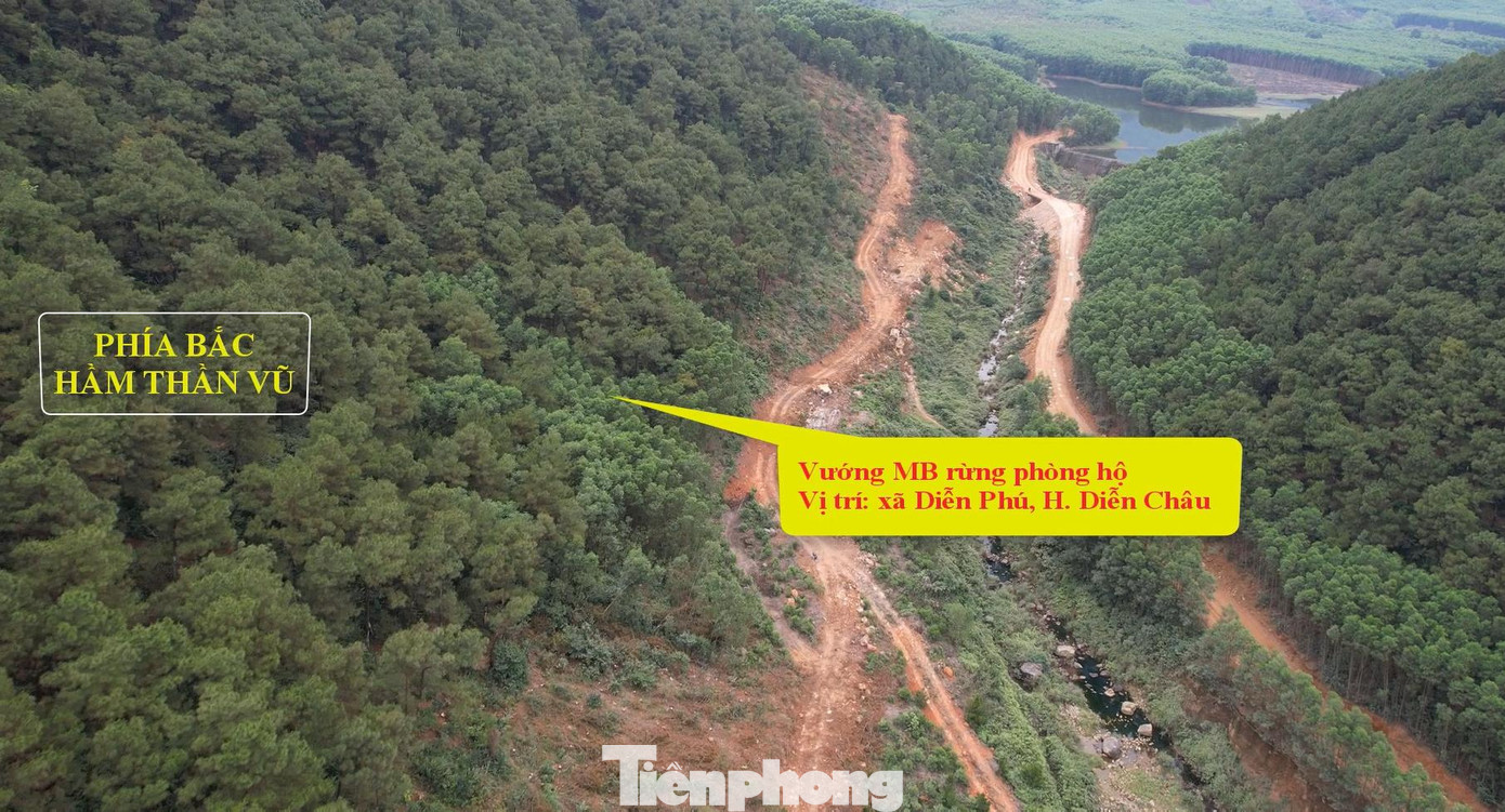 Vướng mặt bằng rừng phòng hộ tại huyện Diễn Châu, Nghệ An