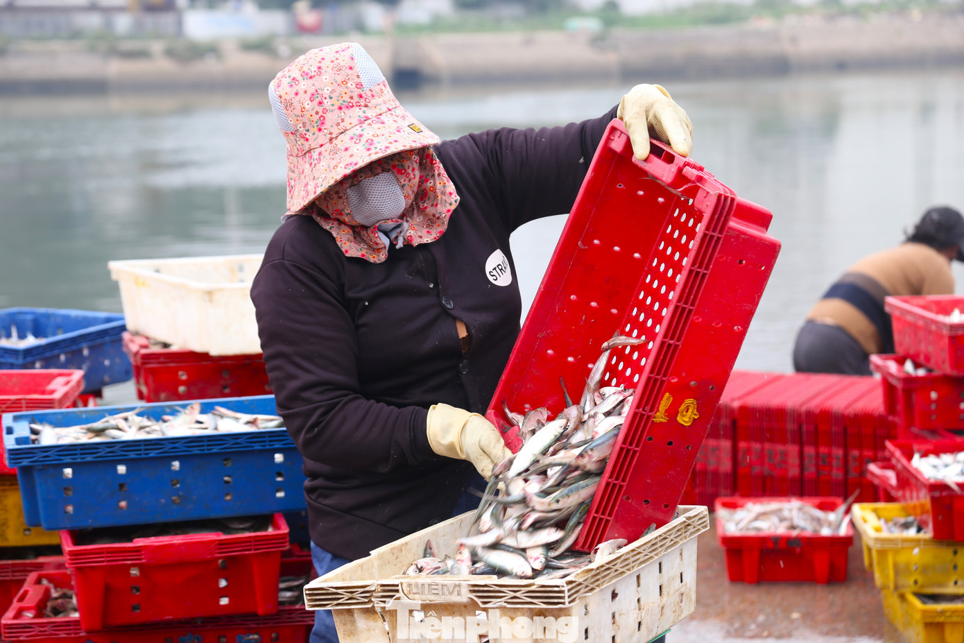 Với những người lao động tự do, việc nghỉ lễ là điều xa vời.