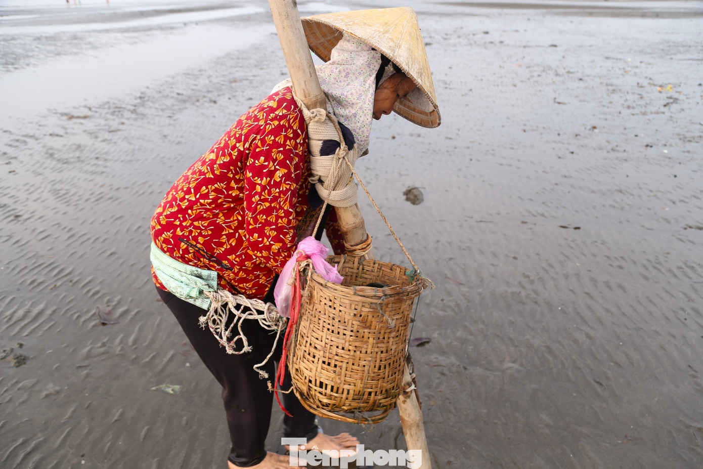 Đồ nghề rất đơn giản, chỉ cần một cán tre dài khoảng 2m, dùng đai gỗ buộc vào hông người dễ dàng kéo nạo về phía sau khi đi giật lùi; một lưỡi sắt dùng để nạo ngao và chiếc giỏ tre đựng ngao.